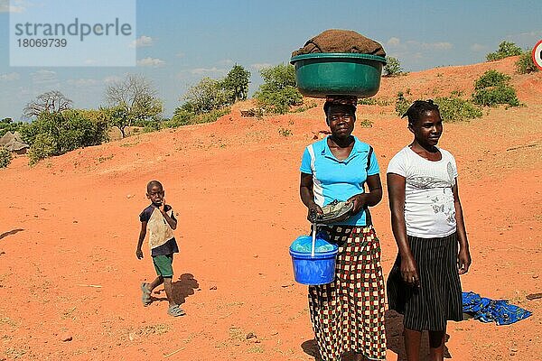 Frauen  südliches Sambia  Sambia  Afrika