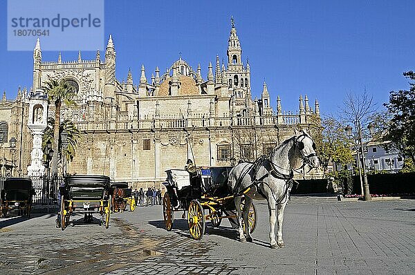 Pferdekutsche  Plaza del Triunfo  Platz  Santa Maria de la Sede  Kathedrale  Sevilla  Provinz Sevilla  Andalusien  Spanien  Europa
