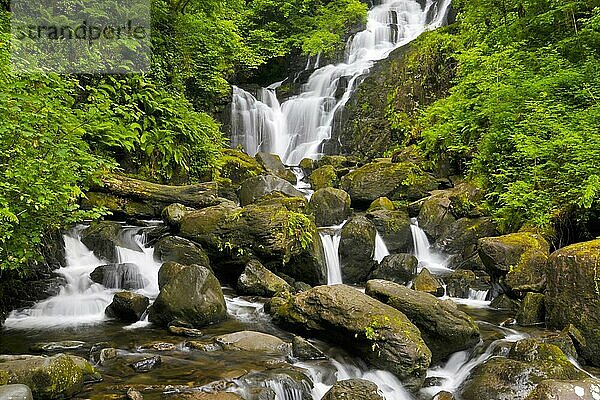 Torc Wasserfall  Killarney Nationalpark  Killarney  Grafschaft Kerry  Irland  Europa