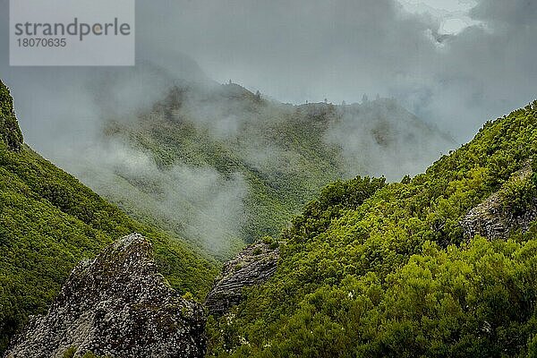 Rabacal-Tal  Zentralgebirge  Madeira  Portugal  Europa