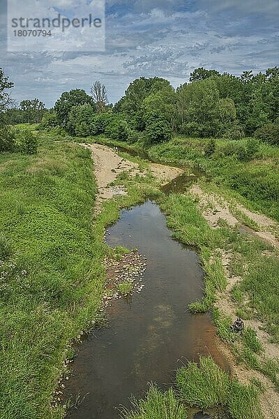 Fluss Neiße nahe Zelz  Brandenburg  Deutschland  Europa