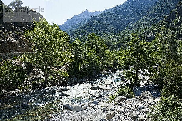 Korsika  Frankreich  Ascoschlucht  Europa