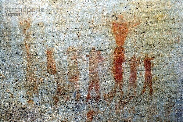 Alte Felszeichnungen der San  Ureinwohner Südafrikas  Sevilla Rock Art Trail  Cederberge nahe Clanwilliam und Wuppertal  Westkap  West Kap  Südafrika
