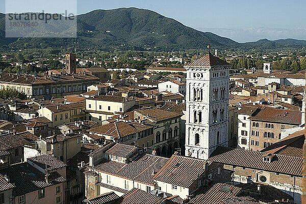 Blick vom Torre Civica Delle Ore  Lucca  Toskana  Italien  Europa