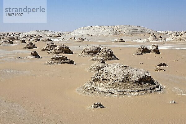 Kalksteinformationen  Nationalpark Weiße Wüste  Libysche Wüste  Ägypten  Afrika