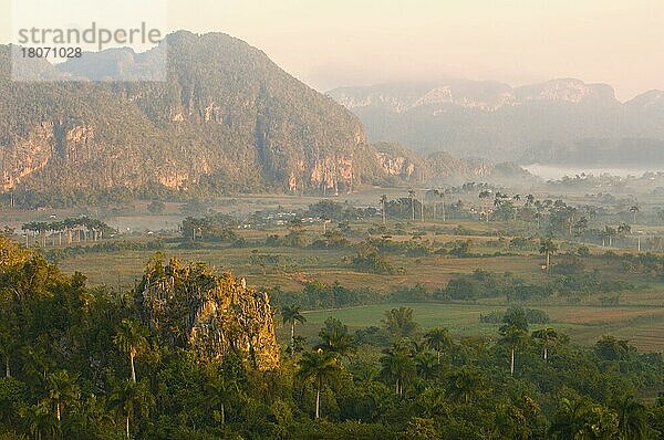 Vinales-Tal  Mogotes  Provinz Pinar del Rio  Kuba  Morgenlicht  Mittelamerika