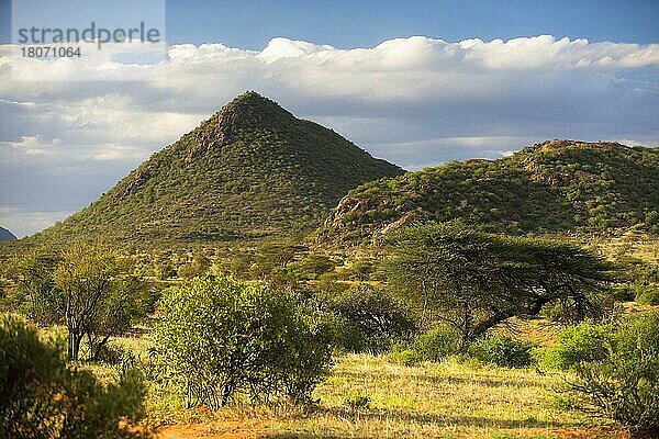 Samburu-Nationalreservat  während der Regenzeit  Kenia  Afrika