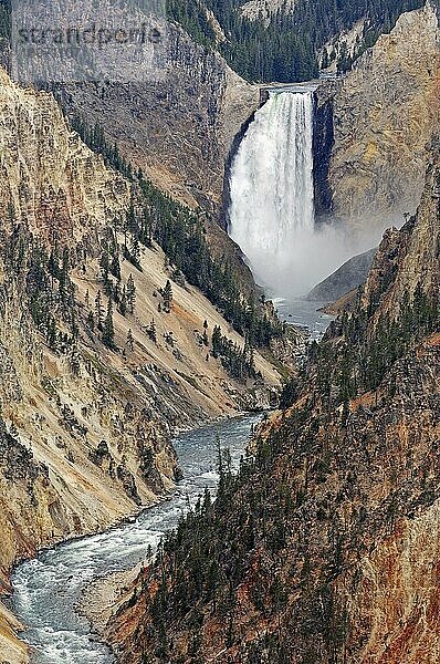 Wasserfall vom Yellowstone-Fluss  Lower Falls  Grand Canyon of the Yellowstone  Yellowstone Nationalpark  Wyoming  Yellowstone River  USA  Nordamerika