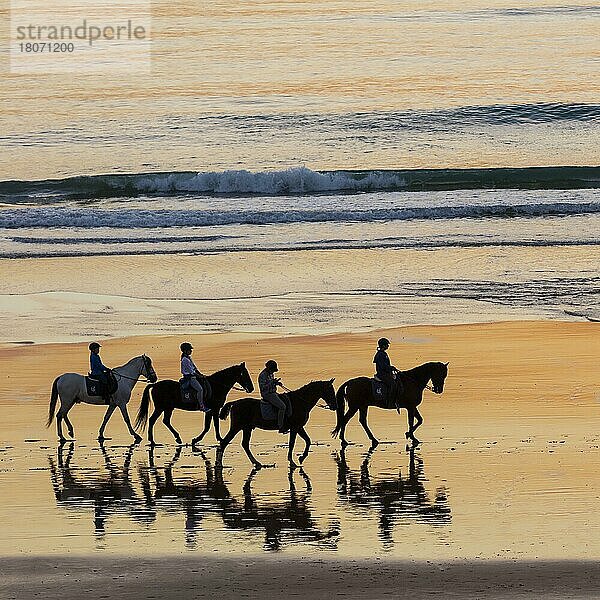 Reiter am Strand  Pferde  Sonnenuntergang  Silhouette  Chiclana de la Frontera  Costa de la Luz  Cadiz  Andalusien  Spanien  Europa