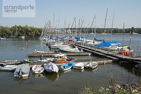 Hafen  Walluf  Hessen  Deutschland  Europa