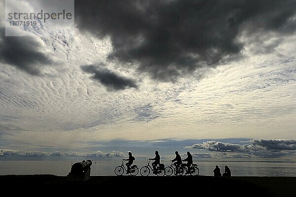 Radfahrer in Oudeschild Insel Texel  Holland  Nordholland  Niederlande  Europa