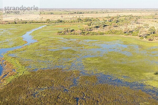 Luftaufnahme Okavango Delta  Botswana  Afrika