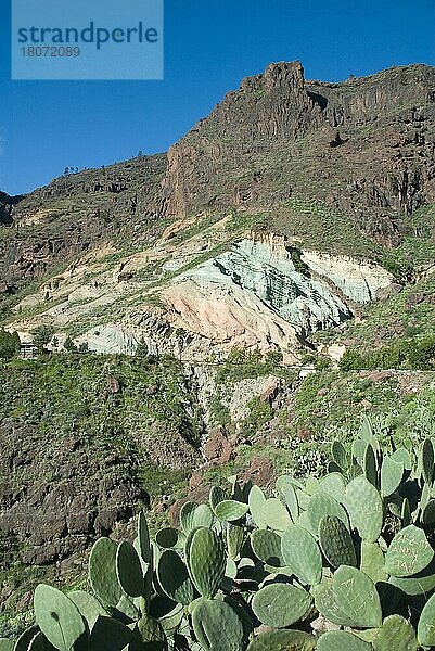 Felswand 'Los Azulejos'  mit Natrium-Eisen-Silikat  Gran Canaria  Kanarische Inseln  Spanien  bunte Berge  farbige Felsschichten  GC206  Vulkangestein  Europa