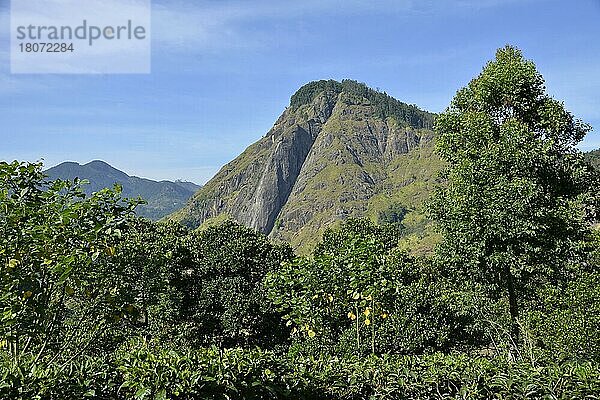 Ella Gap  Ella  Sri Lanka  Asien