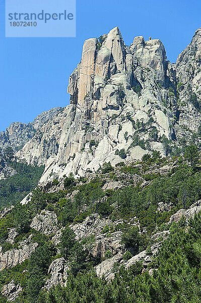 Pass Col de Larone  Korsika  Frankreich  Europa