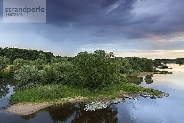 UNESCO-Biosphärenreservat Flusslandschaft Elbe bei Sonnenuntergang im Sommer  Niedersachsen  Deutschland  Europa