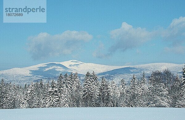 Nationalpark Bayerischer Wald im Winter (Hmel) (sky) (Europa) (Schnee) (snow) (Landschaften) (landscapes) (Querformat) (horizontal) (Nadelwald) (coniferous forest)  Deutschland  Europa