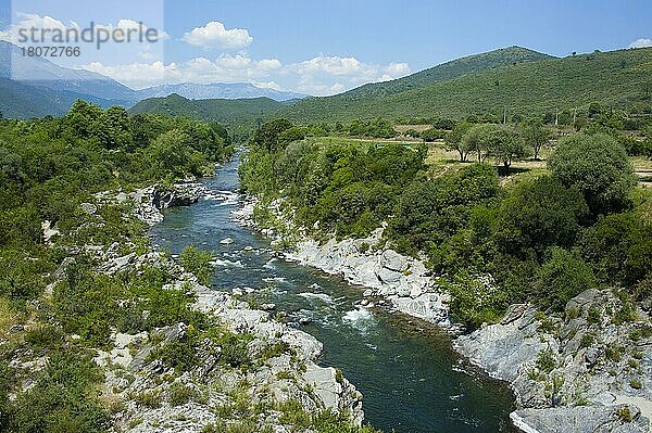 Fluss Tavignano  Korsika  Frankreich  Europa