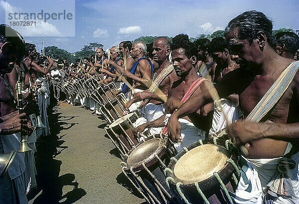 Musikanten beim Pooram-Festival in Thrissur  Trichur  Kerala  Indien  Asien