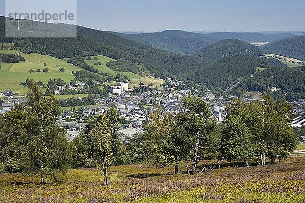 Blick vom Ettelsberg  Willingen  Sauerland  Hessen  Deutschland  Europa