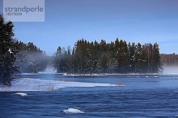 Fluss Dal  Dalälven  Dalaelven im Winter  Nationalpark Färnebofjärden in der Region Nedre Dalälven  Gästrikland  Gaestrikland  Schweden  Europa