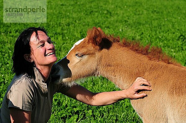 Frau mit Islandpony  Fohlen  Isländer  Islandpferd