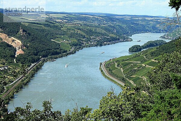 Rhein bei Lorch  Rheinsteig  Oberes Mittelrheintal  Rhein  Hessen  Deutschland  Europa