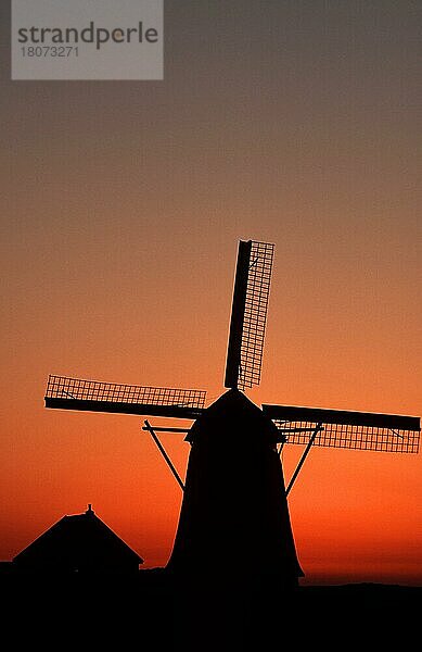 Windmühle in der Abenddämmerung  Het Noorden  Texel  Niederlande  dusk  Silhouette  romantisch  romantically  Europa  vertical  Europa