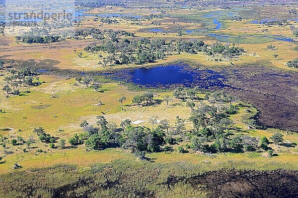 Überschwemmungsgebiet  Okavangodelta  Botswana  Afrika