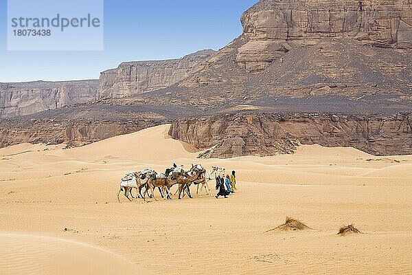 Kamelkarawane  Libysche Wüste  Akakus-Gebirge  Sahara  Dromedar  Einhöckriges (Camelus dromedarius) Kamel  Libyen  Afrika