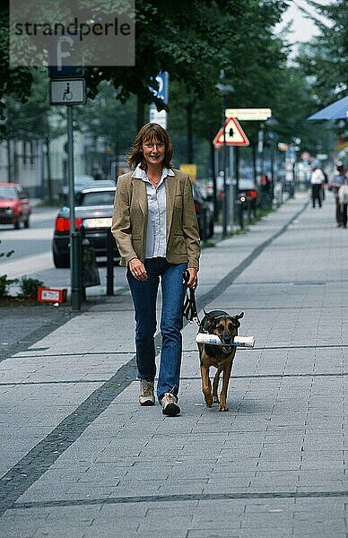 Frau geht mit Mischlingshund einkaufen  geleint  der Leine  freistellbar  Hund trägt Zeitung  Nordrhein-Westfalen  Deutschland  Europa
