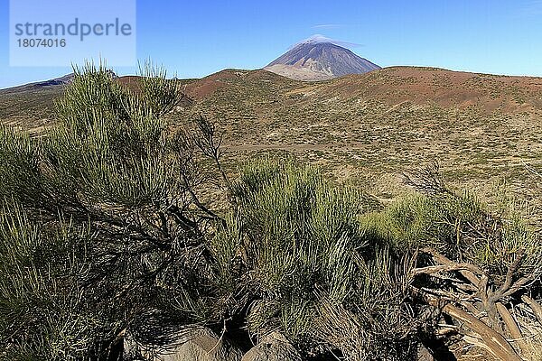 Teneriffa  Kanarische Inseln  Nationalpark del Teide Las Canadas  Vulkan Pico del Teide  Spanien  Europa