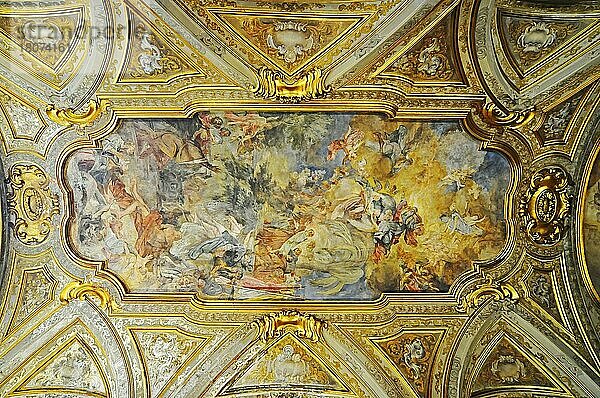 Deckengemälde  Santa Maria del Carmine  Basilika  Kirche  Neapel  Kampanien  Italien  Europa