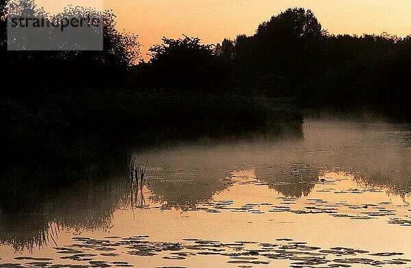 Teich in der Morgendämmerung  Nordrhe-Westfalen (Europa) (Dunst) (Nebel) (Landschaften) (Querformat) (horizontal)  Nordrhein-Westfalen  Deutschland  Europa