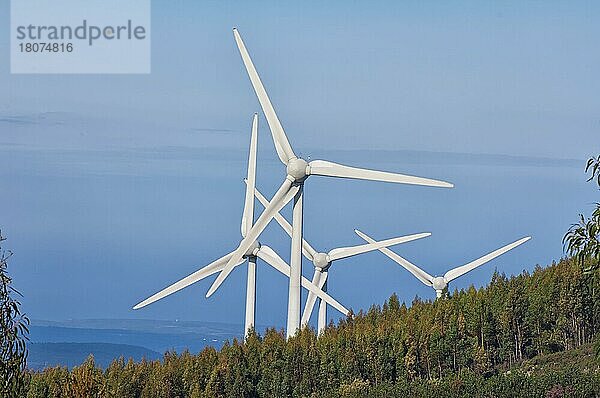 Windkrafträder  Serra da Monchique  Algarve  Portugal  Windrad  Windkraftrad  Windräder  Windenergieanlage  Europa