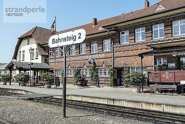 Dampfeisenbahn  Molli  Schmalspurbahn  Bahnhof  Kühlungsborn-West  Mecklenburg-Vorpommern  Deutschland  Europa