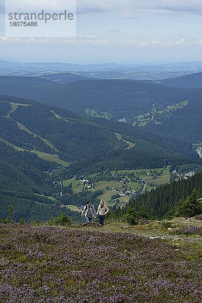 Wanderweg zum Berg Krakonos  Riesengebirge  Tschechien  Europa