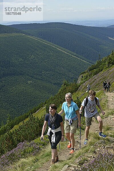 Wanderweg zum Berg Krakonos  Riesengebirge  Tschechien  Europa