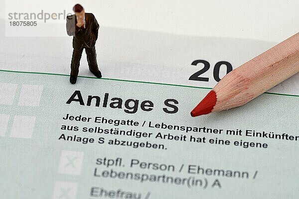 Steuererklaerung  Anlage S