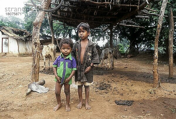 Kinder des Irula-Stammes in der Nähe von Anaikatti  Tamil Nadu  Indien  Asien