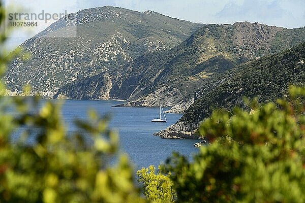 Europa  Toskana  Toscana  Insel Elba  Küste  Italien  Europa