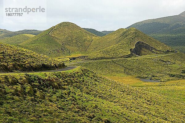 Landschaft bei Cabeco do Caveiro  Hochland  Pico  Azoren  Portugal  Europa