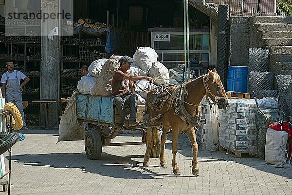 Pferd mit Kutsche und Waren  Peshkopi  Albanien  Europa