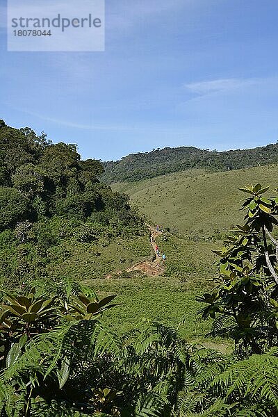 Wanderer  Horton Plains  Sri Lanka  Asien