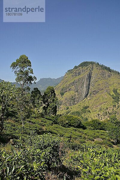 Ella Gap  Ella  Sri Lanka  Asien