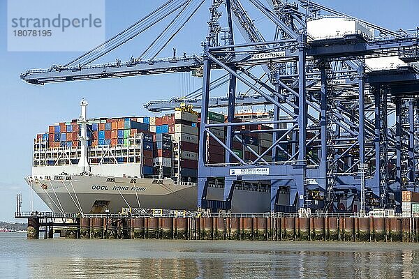 OOCL Hongkong Containerschiffkräne beim Entladen  Hafen von Felixstowe  Suffolk  England  UK