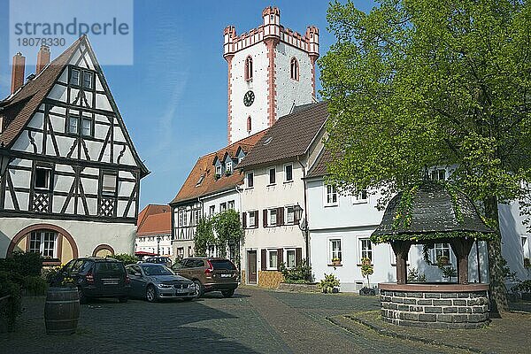 Altstadt  Fachwerkhaus und Pfarrkirche St. Johann Baptist  Steinheim am Main  Hanau  Hessen  Deutschland  Europa