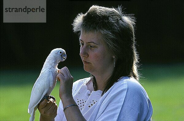 Frau mit jungem Goffin's Cockatoo (Cacatua goffini)