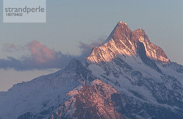 Alpengipfel und Wolken  Berner Oberland (Europa) (Landschaften) (landscapes) (Gebirge) (Berge) (mountains) (Querformat) (horizontal)  Blick vom Niederhorn  Schweiz  Europa