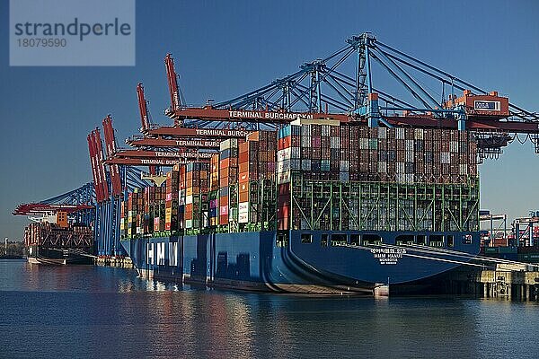 Containerterminal Burchardkai mit Vollcontainerschiff  Hamburger Hafen  Hamburg  Deutschland  Europa